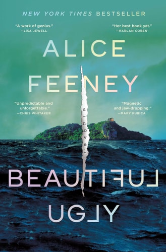 Beautiful Ugly A Novel